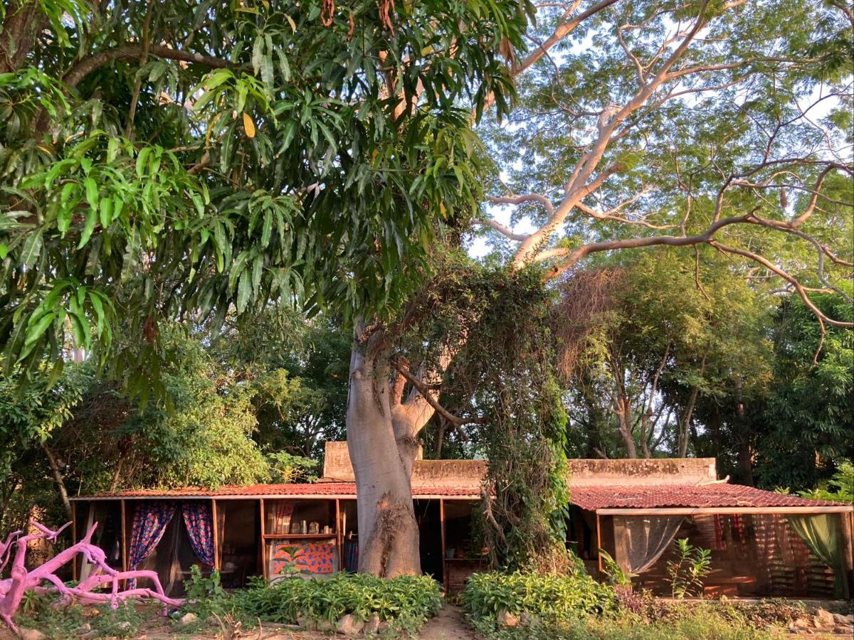 Planta Glamp Farm Hotell Santa María Huatulco Exteriör bild