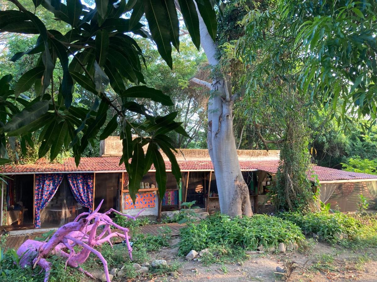 Planta Glamp Farm Hotell Santa María Huatulco Exteriör bild