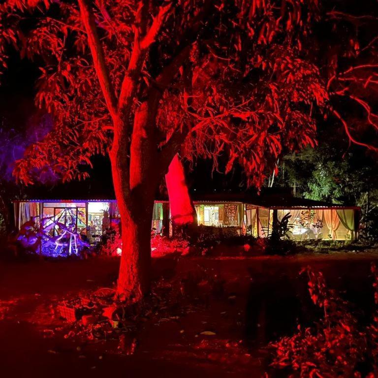 Planta Glamp Farm Hotell Santa María Huatulco Exteriör bild